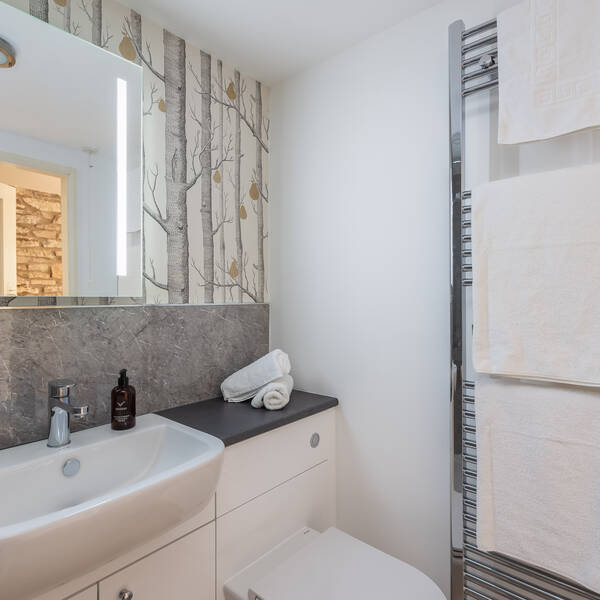 Couch Bathroom