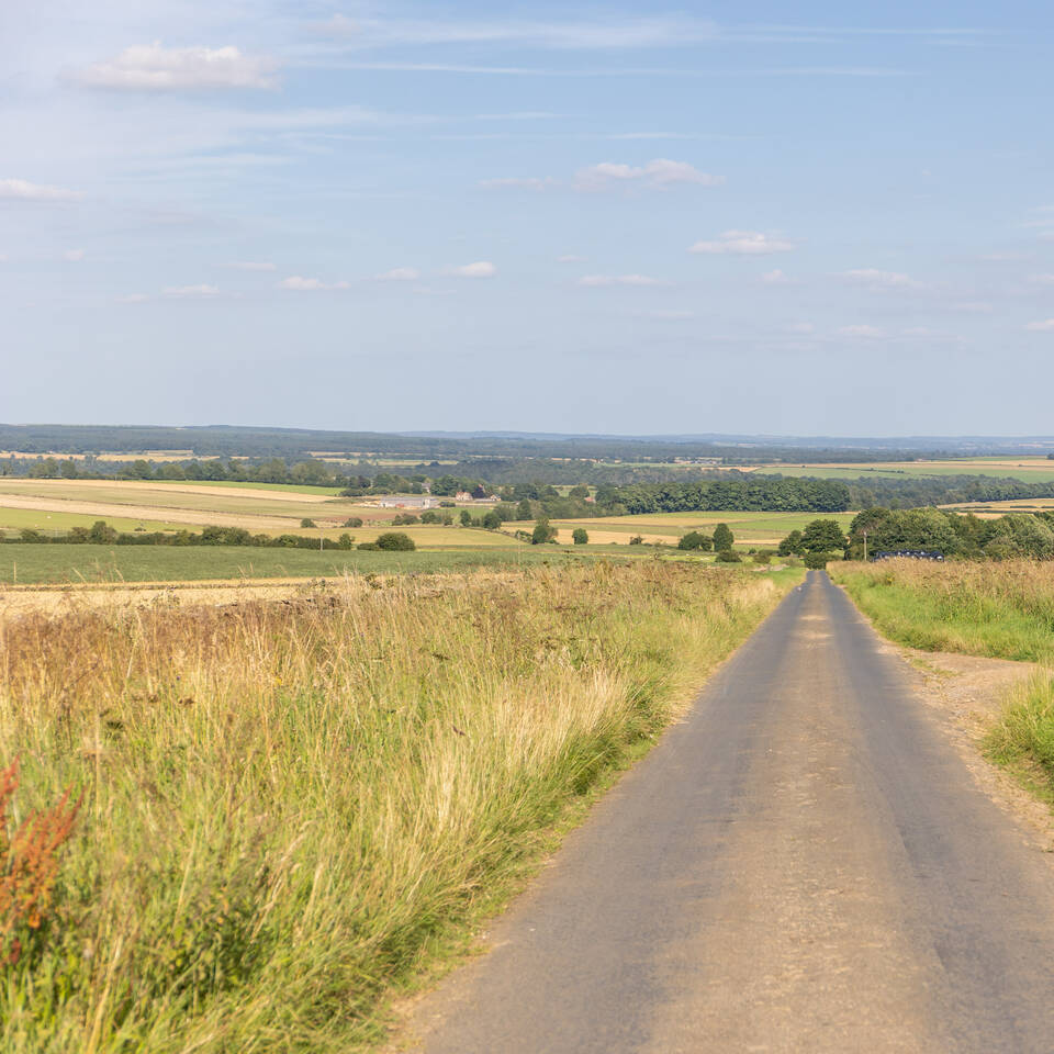 <h2>Welcome to Valley View Farm</h2>